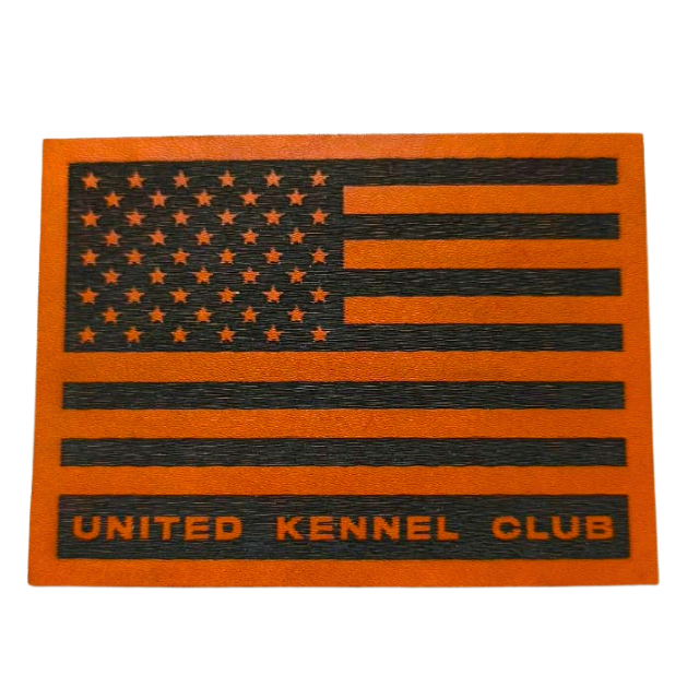 Leather Patch